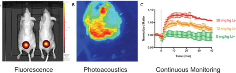 Figure 6. Photoacoustic and fluorescent monitoring of systemic lithium concentration concentration at the site of subcutaneous nanosensors administration