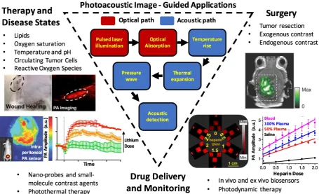 Figure 1. Summary schematic of the topics examined in this article: image-guided surgery (including tumor margination and resection, endogenous contrast mechanisms, and endogenous contrast agents), drug delivery and monitoring (including photothermal/photo