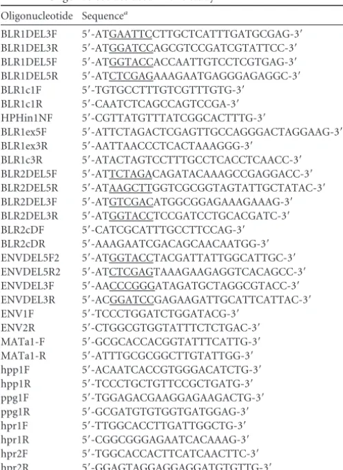 TABLE 2 Oligonucleotides used in this study