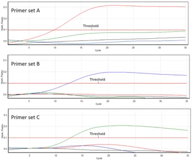 Figure 1. Amplification plot of competitive PCR. Red line = Type A, blue line = Type B,  green line = Type C, and black line = no template control