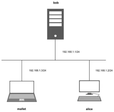 Fig. 2.3 Network setup