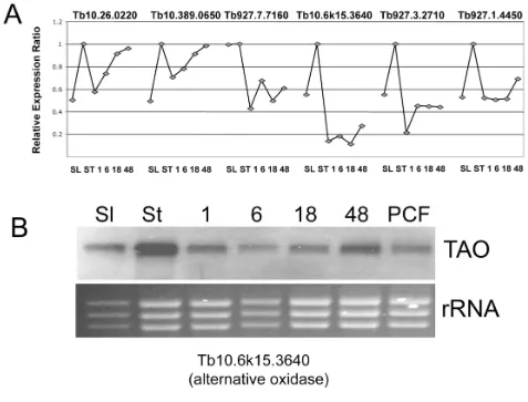 Figure 5Validation of the microarray by alternative expression assaysValidation of the microarray by alternative expression assays