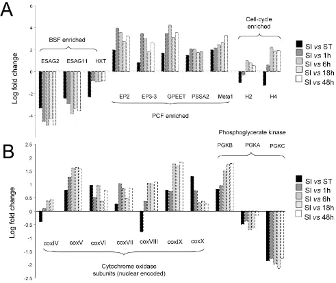 Figure 7Expression changes for a subset of genes whose developmental expression profile is knownExpression changes for a subset of genes whose developmental expression profile is known