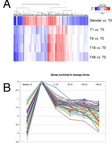 Figure 4Expression profiles of genes at different time points in the analysisExpression profiles of genes at different time points in the analysis