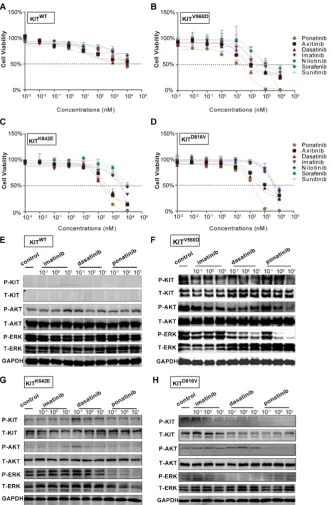 Figure 3. In vitro drug efficacy evaluation using KITWT, KITV560D, KITK642E and KITD816V PDX-derived cells