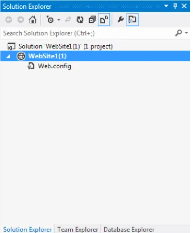 Figure 2c – Creating a New ASP.NET Website: Contents of ‘Empty’ Website in Solution Explorer 