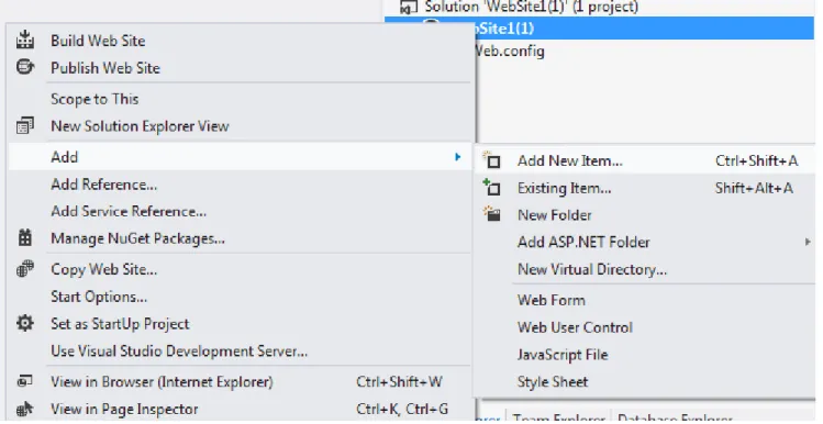 Figure 3a – Adding a Web Form 