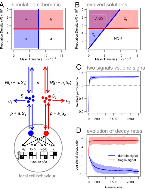 Fig. 1.Multiple signals allow greater environmental resolution. (unstable equilibriumnegative: that is, whenSproduction due to autoinduction,A) Withone auto-inducing signal molecule, populations can discriminate two envi-ronmental states in density/mass-tr