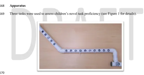 Figure 1a. Easy-Reward Task; 150cm long white Perspex pipe with a large hole (d = 10cm) 