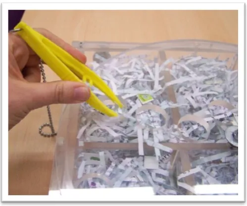 Figure 1b. Difficult-Reward Task; 25cm x 25cm x 5cm (h x w x d) transparent Perspex box 