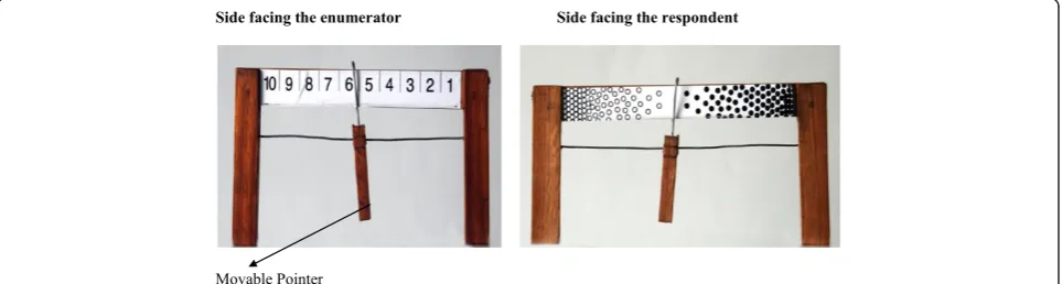 Fig. 1 Schutte Scale for rating the perceived quality of care
