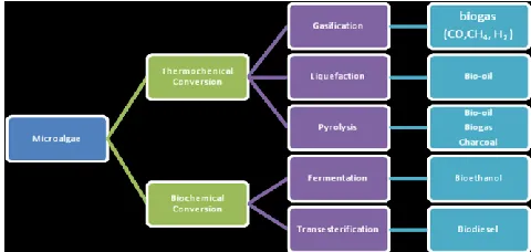 Fig. 1: Energy conversion processes for biofuel production from microalgae [1] 