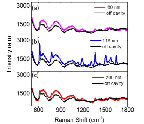 Fig. 3:  (a) Calculated near field enhancement factor 〈