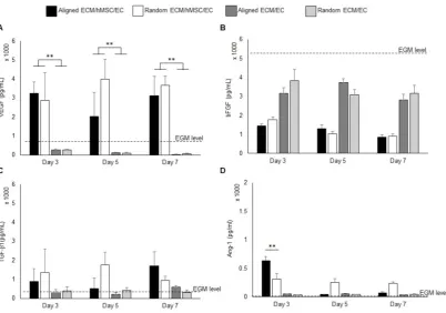Figure 2. Pro-angiogenic growth factors VEGF (A), bFGF (B), TGF-β1 (C), and Ang-1 (D) concentration in the growth medium