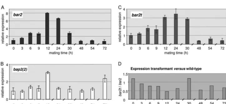 FIG 2 Diagram of interactions screened to identify genes differentially regu-lated. The comparison of assumed different (green) and similar (red) interac-tions was used to identify genes regulated in transcriptome proﬁling.