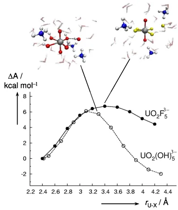 Figure 2. Changes in free energy, ∆A, upon dissociation of one of the equatorial ligands from 2 (solid line and circles) and 3 (dashed line and open circles) including counterions at 320 K