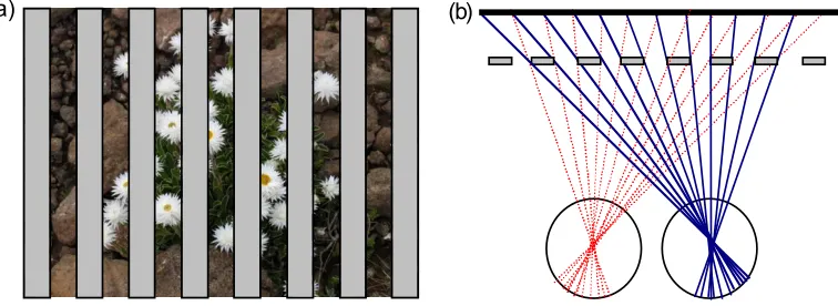 Figure 1. (a) An example image showing one eye’s view of a background whenoccluded by a ‘picket fence’ of foreground grey objects