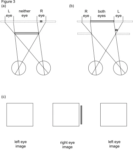 Figure 3(a)