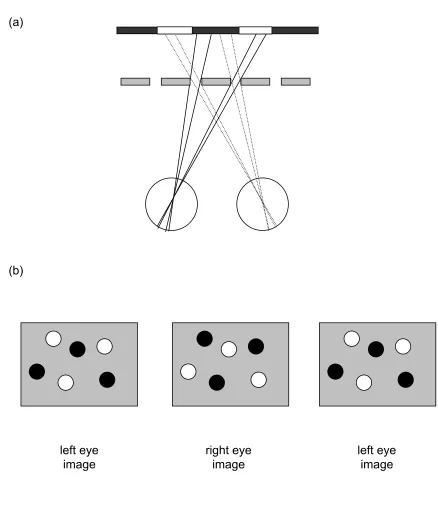 Figure 8(a)