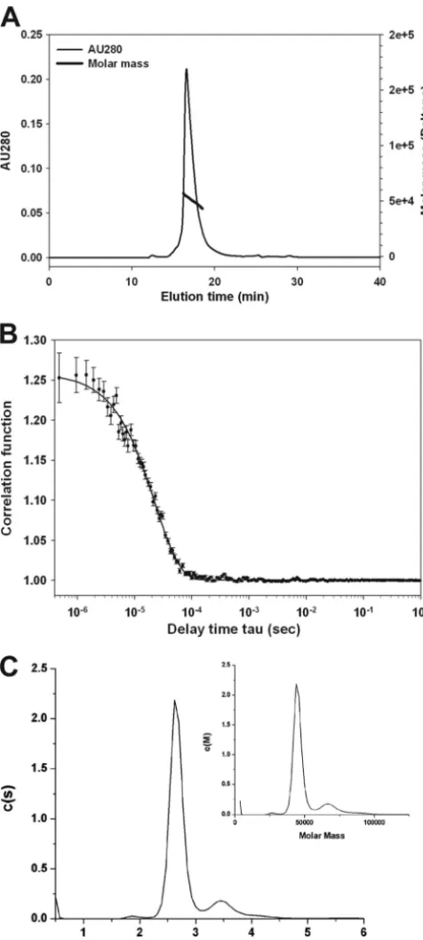 FIG 3 Biochemical characterization of rMTRAP by SEC-MALS-QELS HPLC