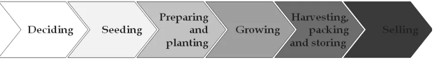 Figure 1: Agricultural Value Chain 