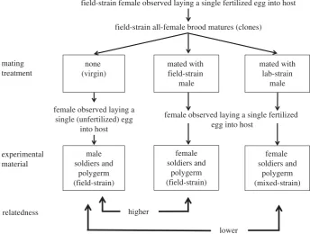 Figure 1. Schematic summary of the method used to prepare biological material of varying relatedness.