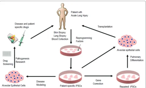 Figure 7. Schematic diagram illustrating potential applications of induced pluripotent stem cells (iPSCs) for patients with acute lung injury/acute respiratory distress syndrome