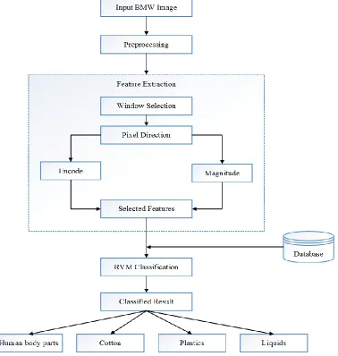Fig. 2:  Overall flow of the proposed BMW identification and classification 