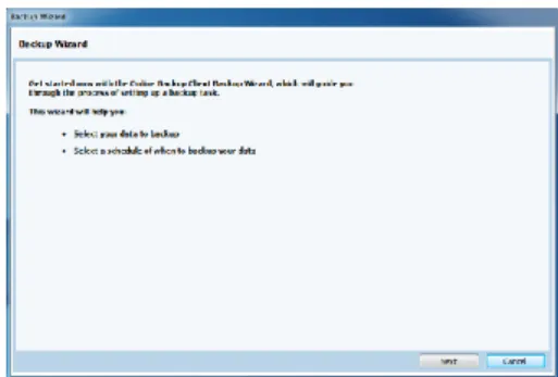 Figure 9: Start of Backup Wizard 