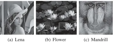 Fig. 2.Test images.