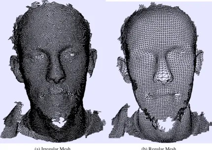 Figure 3.4: ‘Before and after’ view of a reconstructed mesh. The left hand image showsa ‘wire-frame’ view of a mesh as produced by the scanner