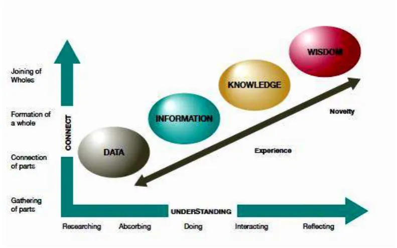 Figure 2.4: The DIKW model (Source: Rowley, 2007) 
