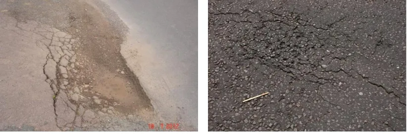 Fig. 2. Different Examples of Road Distress Types: (a) Pothole Distress; (b) Cracking Distress 