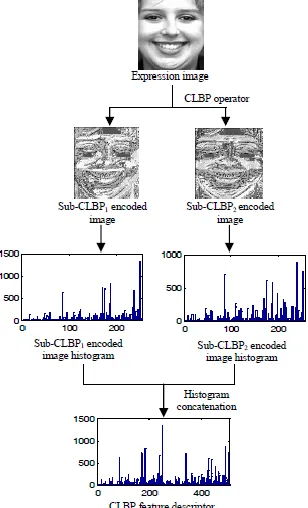 Fig.6.Expression image is split into small sub-regions, and the Compounded LBP histograms are obtained from each small sub-