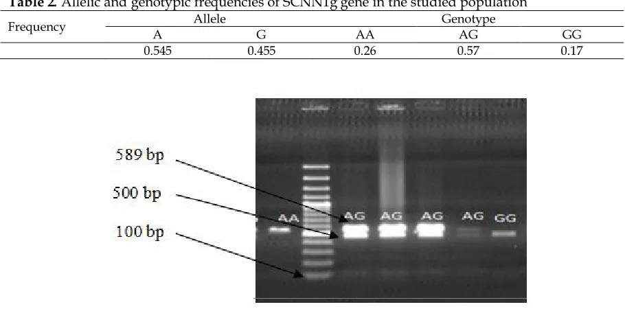 Table 2. Allelic and genotypic frequencies of SCNN1g gene in the studied population Allele Genotype 