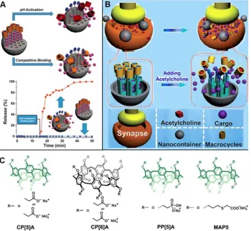 Figure 2. (A) Illustration of pillar[5]arene-based supramolecular nanovalve on MSNs, regulating the release of cargos in response to pH changes and competitive agents; (B) Illustration of cargo release from MSN-based nanocarriers in response to acetylcholi