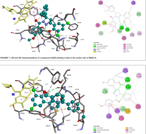 FIGURE 7 | 3D and 2D representations of compound 5e(R) binding mode in the active site of MAO-A.