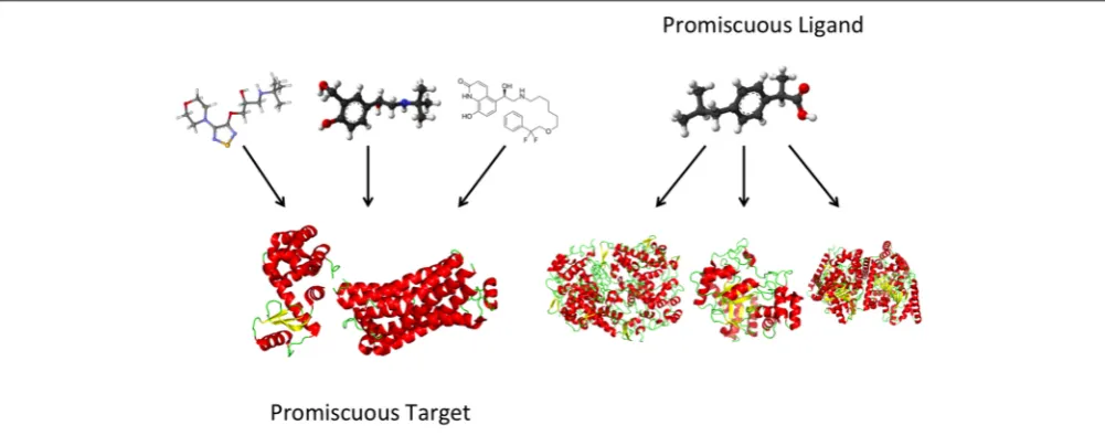 FIGURE 3 | Illustrations of the cases of a promiscuous ligand and a promiscuous target (left and right, respectively).