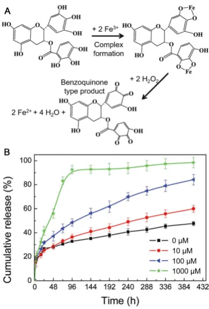 Figure 7. Schematic representation of the fabrication of DOX-loaded MPN capsules and release mechanism of DOX from MPN capsules