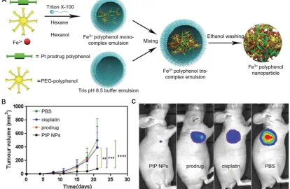 Figure 10. (A) Schematic representation of the PtP NP self-assembly process. (B) Tumor volume of luciferase-expressing PC3 cells treated with different groups at the same Pt dose