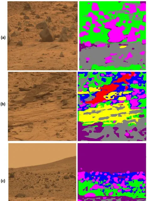 Fig. 11. Samples of classified images. 