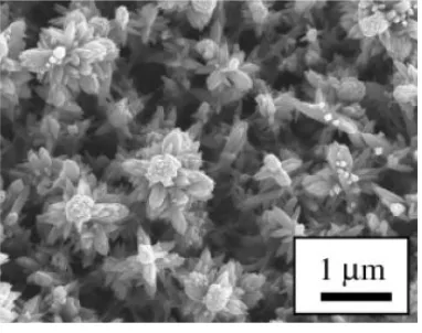 Figure 1-18 : image of nanoflower TiO 2 (reproduced from [69]). 