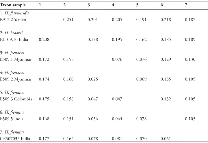 Table 2. Uncorrected genetic distances among taxa included in this study for cytb (upper diagonal) and 12S (lower diagonal) gene fragments