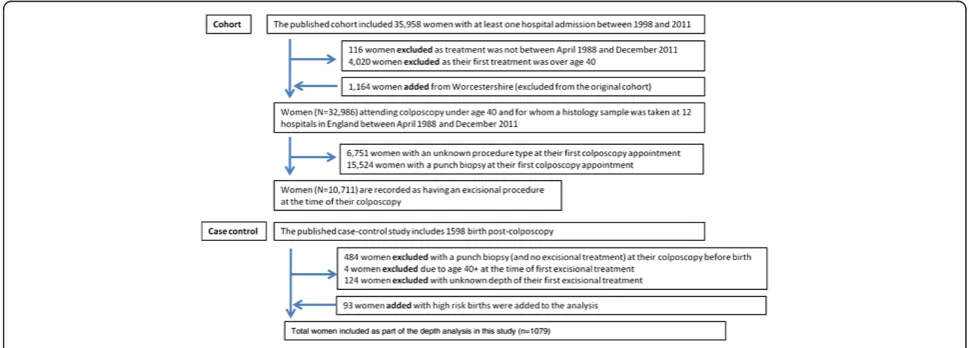 Fig. 1 Inclusions and exclusions from the study