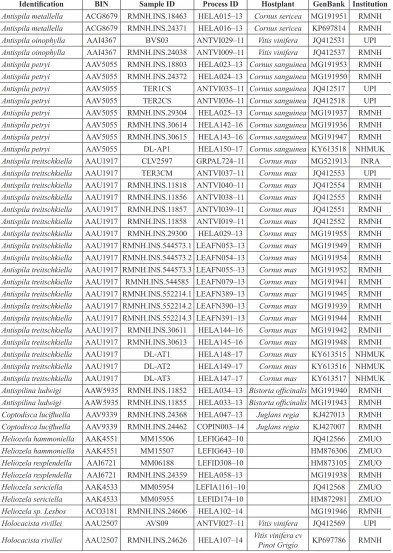 Table 1. Material of Heliozelidae used for DNA barcodes, all in dataset DS-ANTITR, doi: 10.5883/DS-ANTITR.