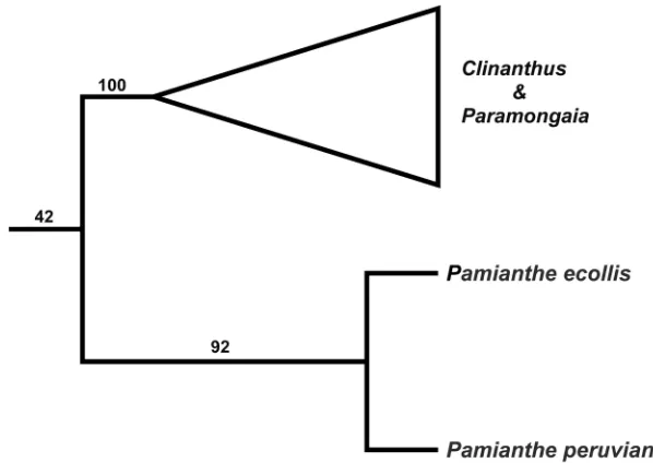 Figure 4. Strict branch and bound parsimony consensus tree of the Clinantheae, based on ITS sequences, with jackknife support values.