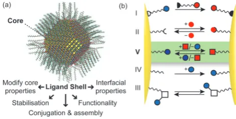 Figure 1. a) Calculated structure of a monolayer-stabilised NP (5 nm PbScore capped with oleic acid ligands) and the crucial features that are deter-mined by the ligand shell; b) cartoon representation of strategies for post-synthetic NP surface engineerin