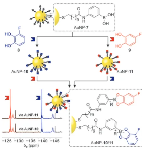 Figure 3. a) Dynamically reconfigurable AuNP-bound hydrazone monolayers;b) in situ characterisation by 19F NMR spectroscopy allows molecular-levelcharacterisation of monolayer composition; c) real-time tracking of dynamiccovalent exchange reactions.[46] Ad