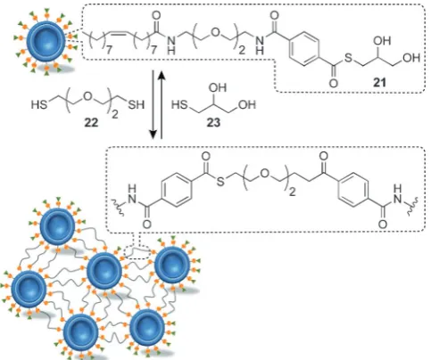 Figure 7. Dynamic covalent polymer brush-functionalised silica NPs. Alkoxyamine exchange can be used to reversibly attach macromolecular poly(4-vinylpyri-dine) side chainsnamic covalent exchange with small molecule P19