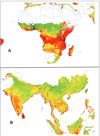 Figure 4. GPFS model prediction for potential population index of oriental fruit fly, Bactrocera dorsalis(including observations of Bactrocera invadens) in A) Africa and B) Asia based on most recent 10 years (2003-2012) weather data from National Centers f
